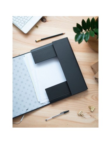 Carpeta Solapas Harry Potter Dobby